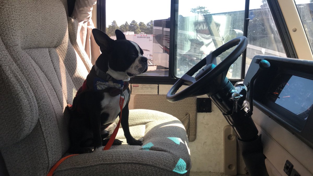HectorCounty's tweet photo. #bigpineorbust https://t.co/rEUIgQbF4u