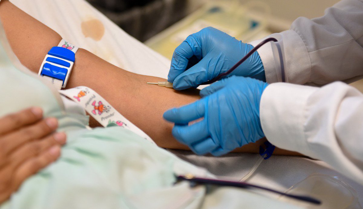 CantuCuevas's tweet photo. De las cinco mil transfusiones de sangre que realiza el #HNAM anualmente, solo el 10 por ciento se recupera por donación altruista. ¡Súmate a la Jornada de Donación de Sangre!
Te esperamos este 24 de septiembre.
https://t.co/Ei6707uNqf https://t.co/3Rww8DXHdS