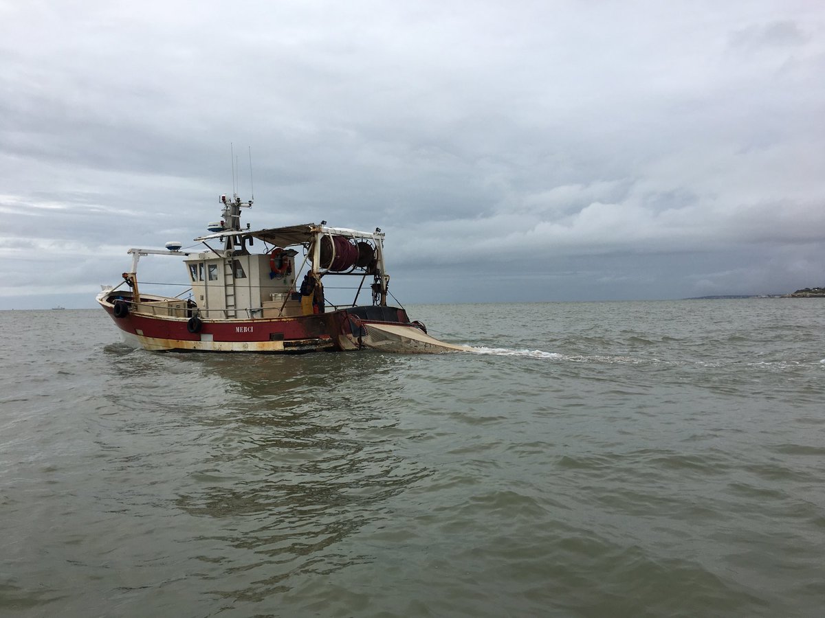 FredericCartaud's tweet image. Les #Nourriceries de juvéniles de poissons de nos côtes et de l’estuaire de la #Gironde sont-elles en bonne santé ?  Une étude scientifique avec les marins-pêcheurs est menée actuellement #ParcNaturelMarin #CharenteMaritime #Poissons Reportage 19h ⁦@F3PoitouChtes⁩