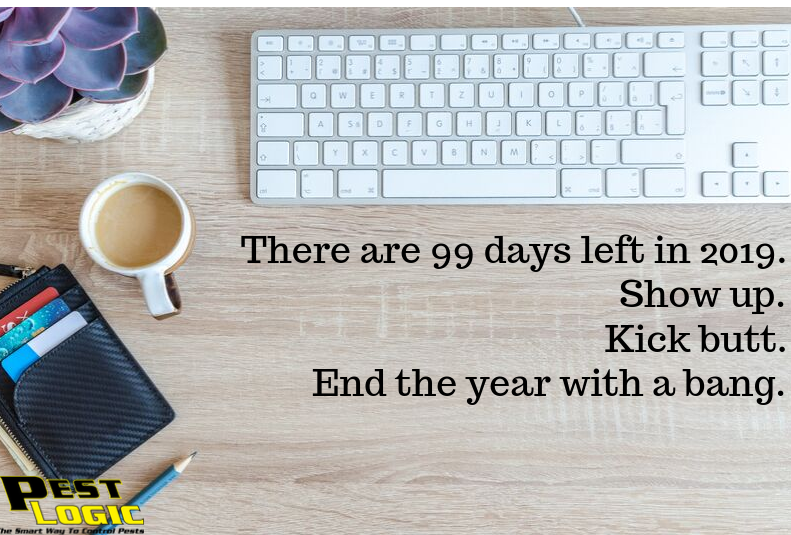 Pest_Logic's tweet image. There are 99 days left in 2019. 

Make these last 99 days the best 99 days. 

The only obstacle in your way is you. 

#MotivationMonday #PestLogic #TheSmartWayToControlPests #SouthFlorida #PestControl #Rodents #Termites #LawnAndOrnamental #ShopLocal