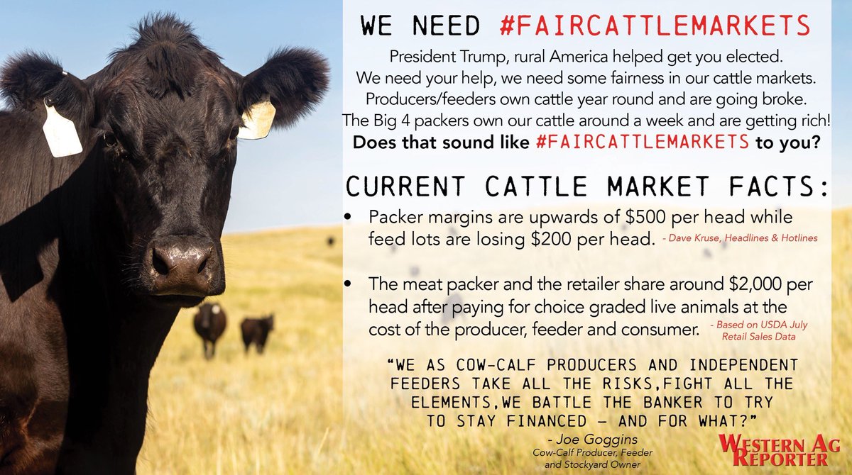 r_goldhahn's tweet photo. @realDonaldTrump Please help ranchers stay in business by reinstating COOL and breaking up the monopoly of the “big 4” packers. Our family operations desperately need your help! Make the cattle industry great again with #faircattlemarkets https://t.co/ckL8oJUe67