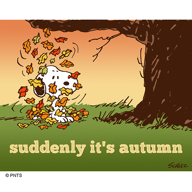 Happy first day of Fall! 🍂