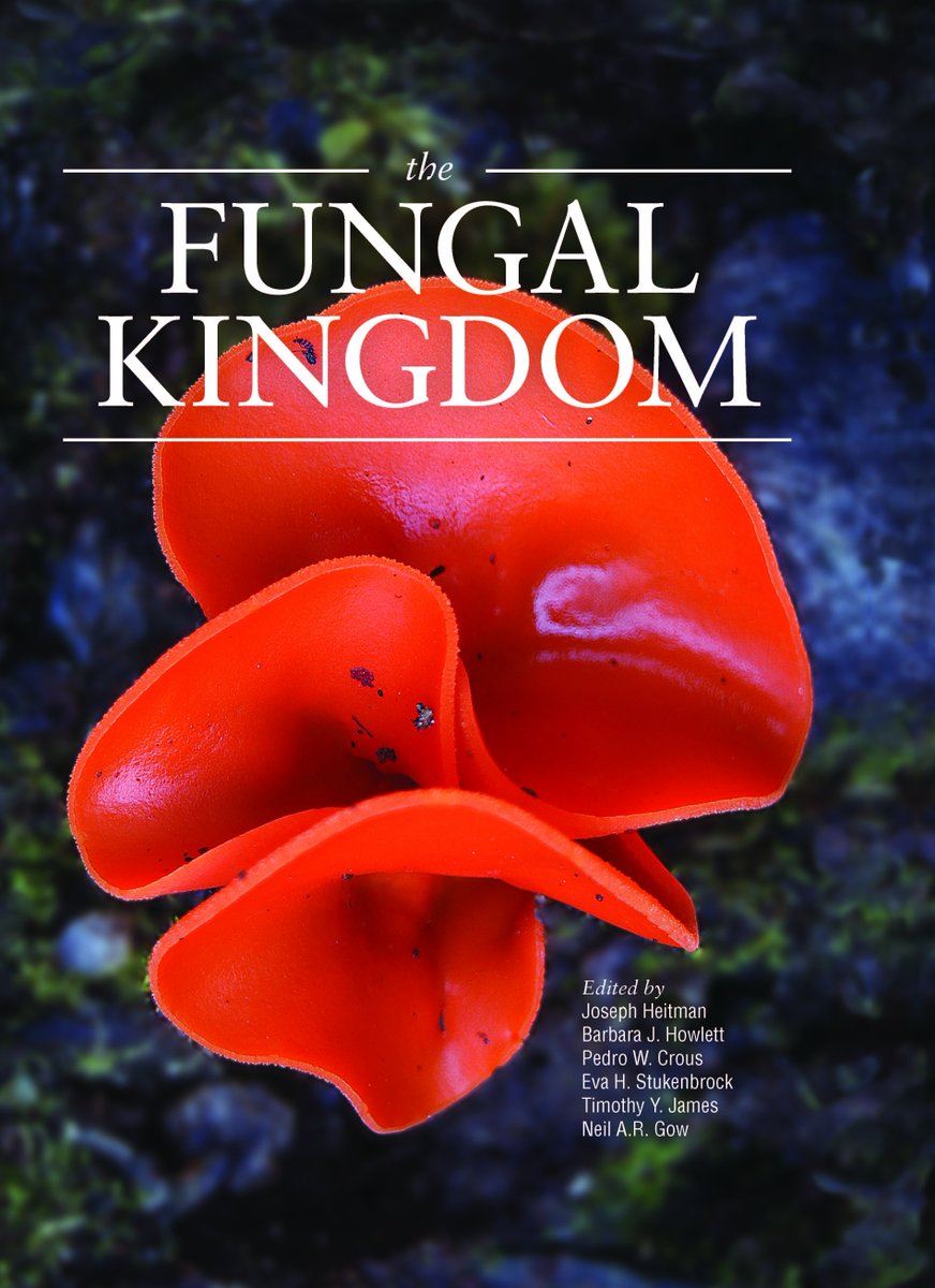 Sept 23-27 is #FungalDiseaseAwarenessWeek. Learn about the fungi that make people sick in the ASM Press book The Fungal Kingdom. We're opening Chapter 39: Fungi That Infect Humans for the week so everyone can #ThinkFungus ow.ly/ZnEF30pzg0Q