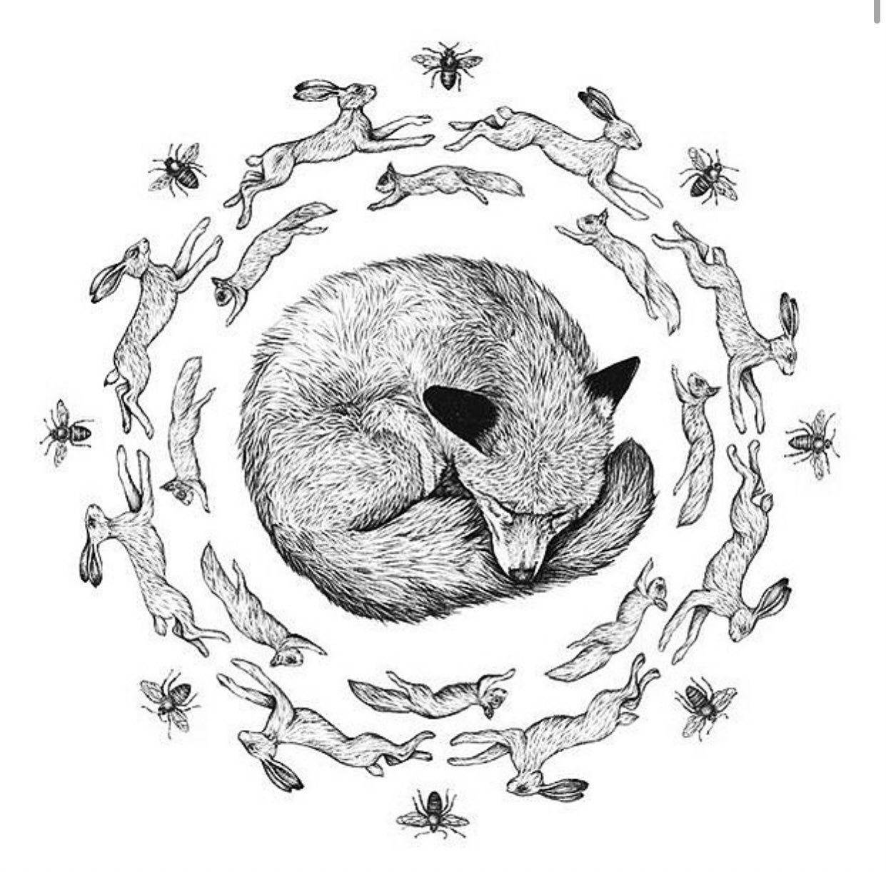 Рисунки