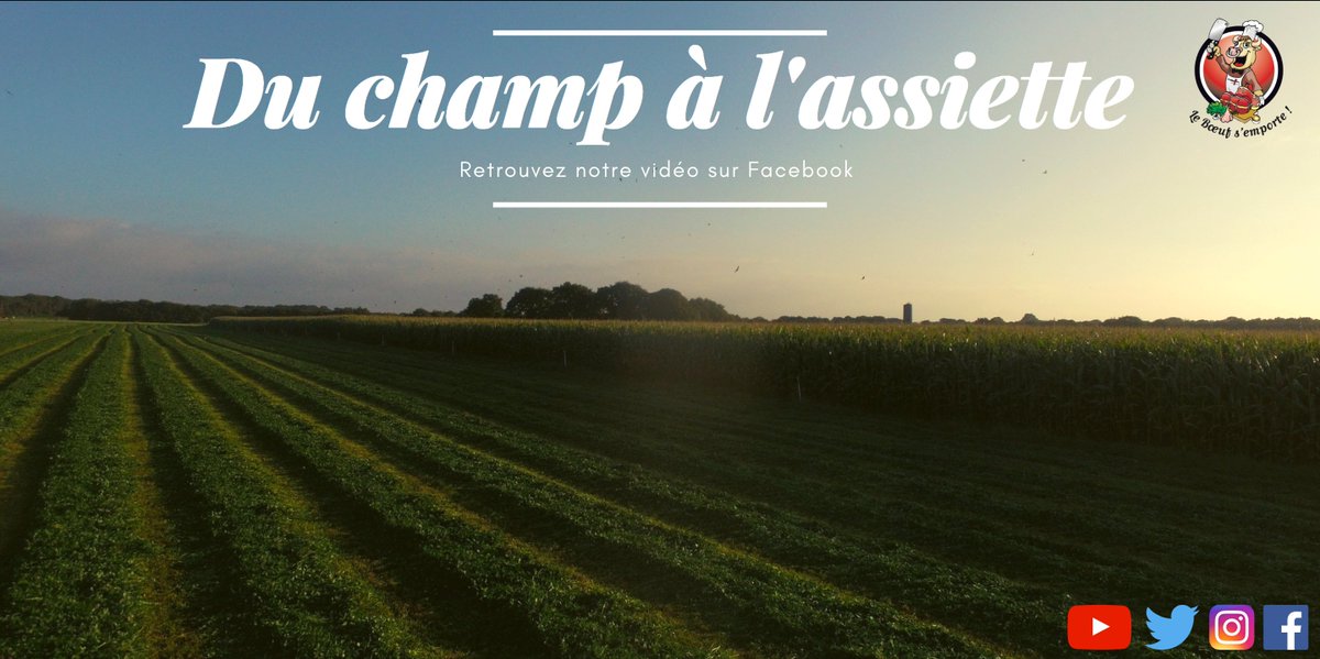 Courte vidéo présentant la dernière coupe de mélange Ray-Grass/trèfle --> facebook.com/leboeufsemport…