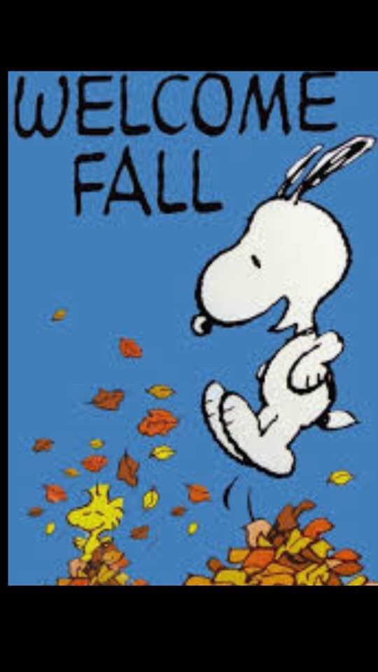 LaurelParkMS's tweet image. Happy Fall folks!