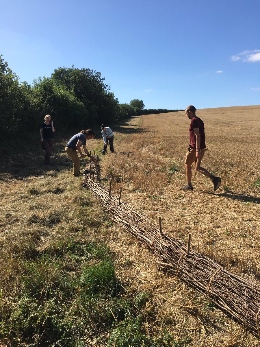 Hydro_Howard's tweet photo. A beautiful day last week spent with @lovesmallwoods and @MarthaCrockatt from @earthwatch_org installing #coppice #fascines in a pilot to see if they can reduce land degradation and #river #siltation https://t.co/opb8oIPx9b