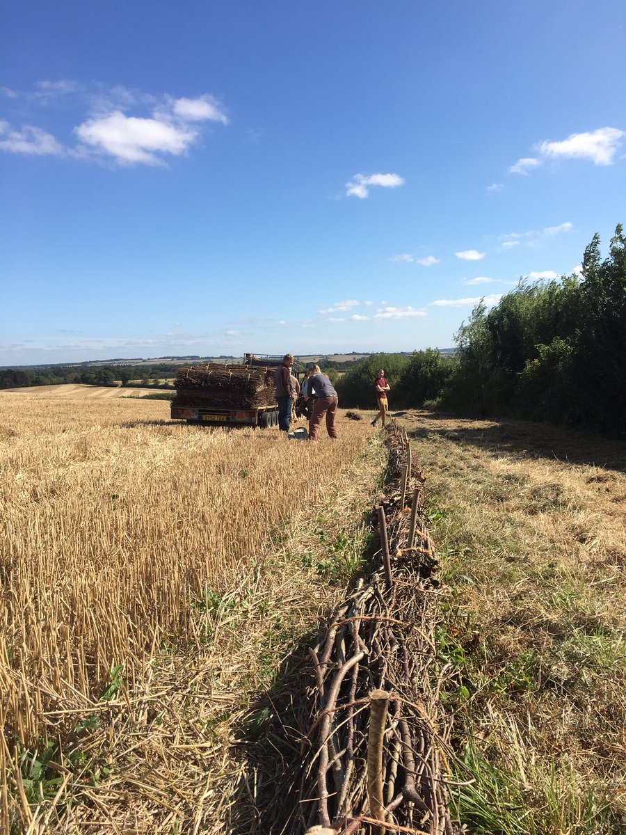 Hydro_Howard's tweet photo. A beautiful day last week spent with @lovesmallwoods and @MarthaCrockatt from @earthwatch_org installing #coppice #fascines in a pilot to see if they can reduce land degradation and #river #siltation https://t.co/opb8oIPx9b