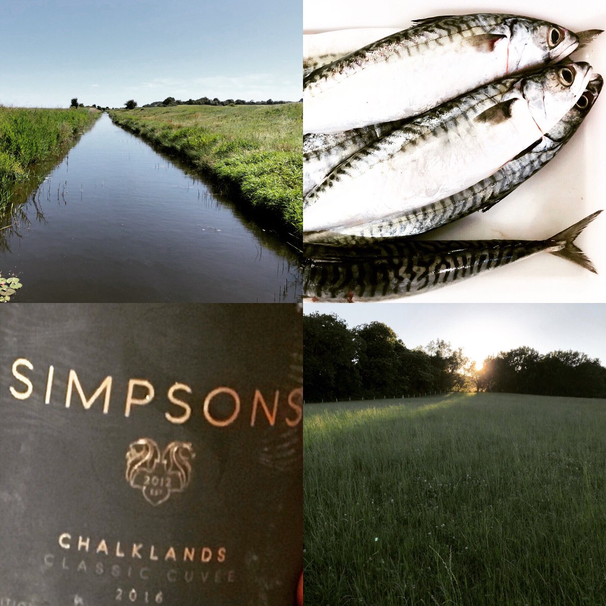 GrazeonGrand's tweet photo. #lovelocal our monthly spotlight on #localwineries Thurs 26/19/19 #4coursedinner + #matchingwines from @simpsonwine £45pp #reservationessential https://t.co/ESsG5hQe7f #wine #winetasting #dinner #stleonards seafront #hastings https://t.co/0N7Dj7s3aG