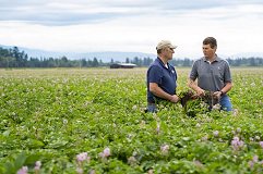 AkkerbouwNieuws's tweet image. “#Telers zouden de beschikking moeten hebben over een programma voor #bladbemesting”, althans dat stelt Maarten de Voogd, Global Potato Solution &amp;amp; Business Management @YaraBenelux  -
akkerbouwactueel.nl/nieuwsartikel/…