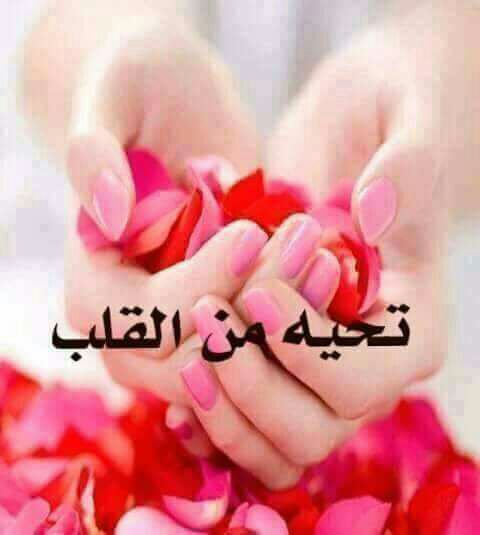 تحيات إلى جميع متابعي