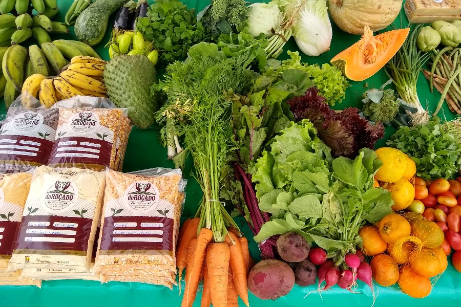 NordesteEco's tweet photo. 'Quitandas da Borborema' será rede de comercialização da Agricultura Familiar
Leia mais: https://t.co/Rllnw6GNku
#Arara #ASPTA #BNDES #EcoBorborema #Ecoforte #Esperança #FundaçãoBB #GovernoFederal #PolodaBorborema #Queimadas #RedeAgroecológicanaBorborema #Remígio #Solânea https://t.co/T5pAdFT19r