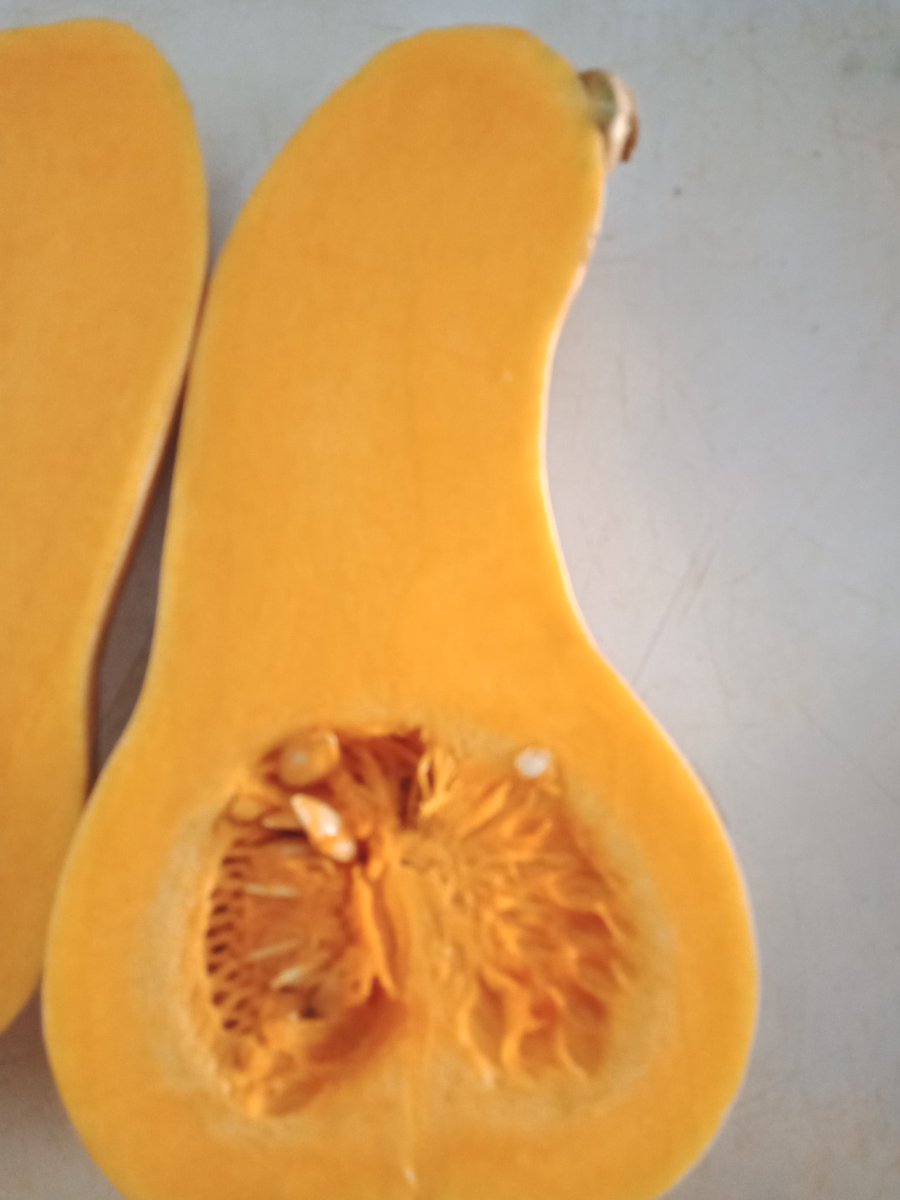 Today's intake: Active forms of Vitamin A essential for regulating cell growth, eye health, bone health and immune function.
To place your order, kindly write us a mail : commercial@instaveg.co.ke