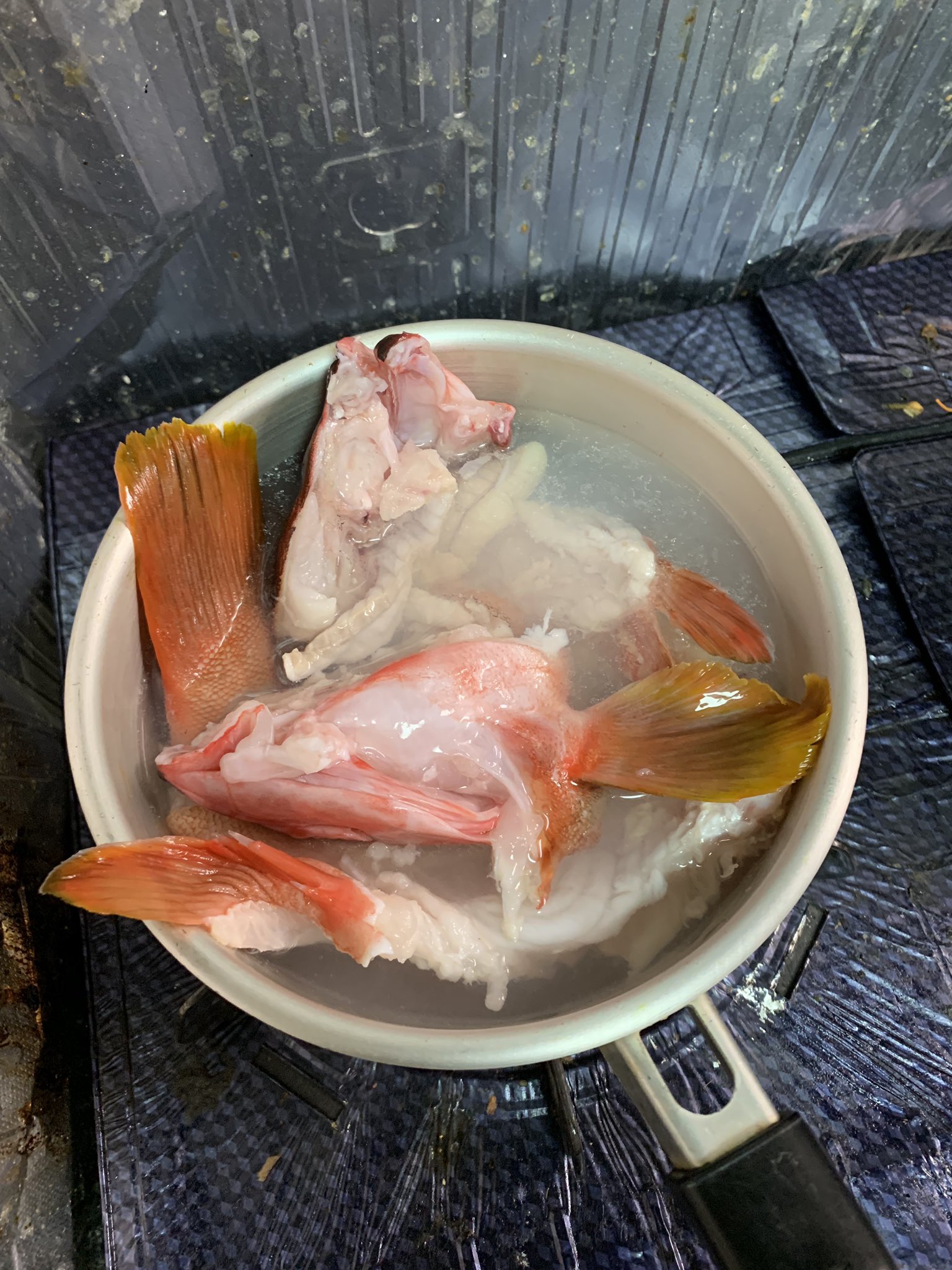 ジギンガーk 釣り 昨晩釣ったアカハタのアラを 今晩は煮付けにしますよ まずは湯がいていきます 式根島 アカハタ 根魚 根魚料理 ロックフィッシュ 釣った魚を料理 魚料理 釣り人飯 T Co Hryk9kxlyb Twitter