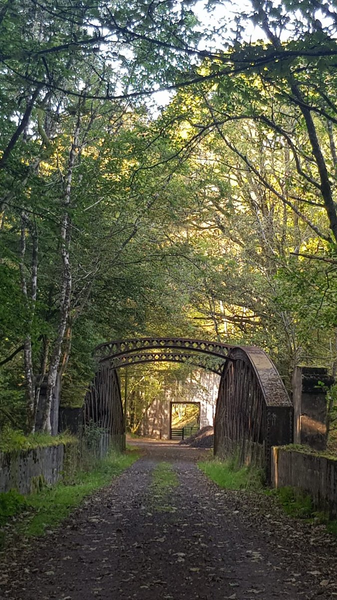 katdaz01's tweet photo. Walking in Scotland #LochEarn feeling so lucky and enjoying life 💜🚶‍♂️🚶‍♀️ https://t.co/ZROuf2ajCf