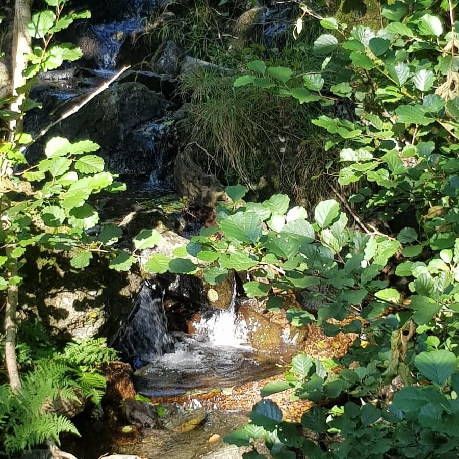 katdaz01's tweet photo. Walking in Scotland #LochEarn feeling so lucky and enjoying life 💜🚶‍♂️🚶‍♀️ https://t.co/ZROuf2ajCf