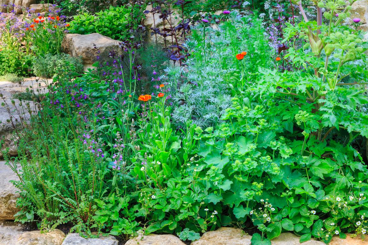 Kate & Tamara tweet media