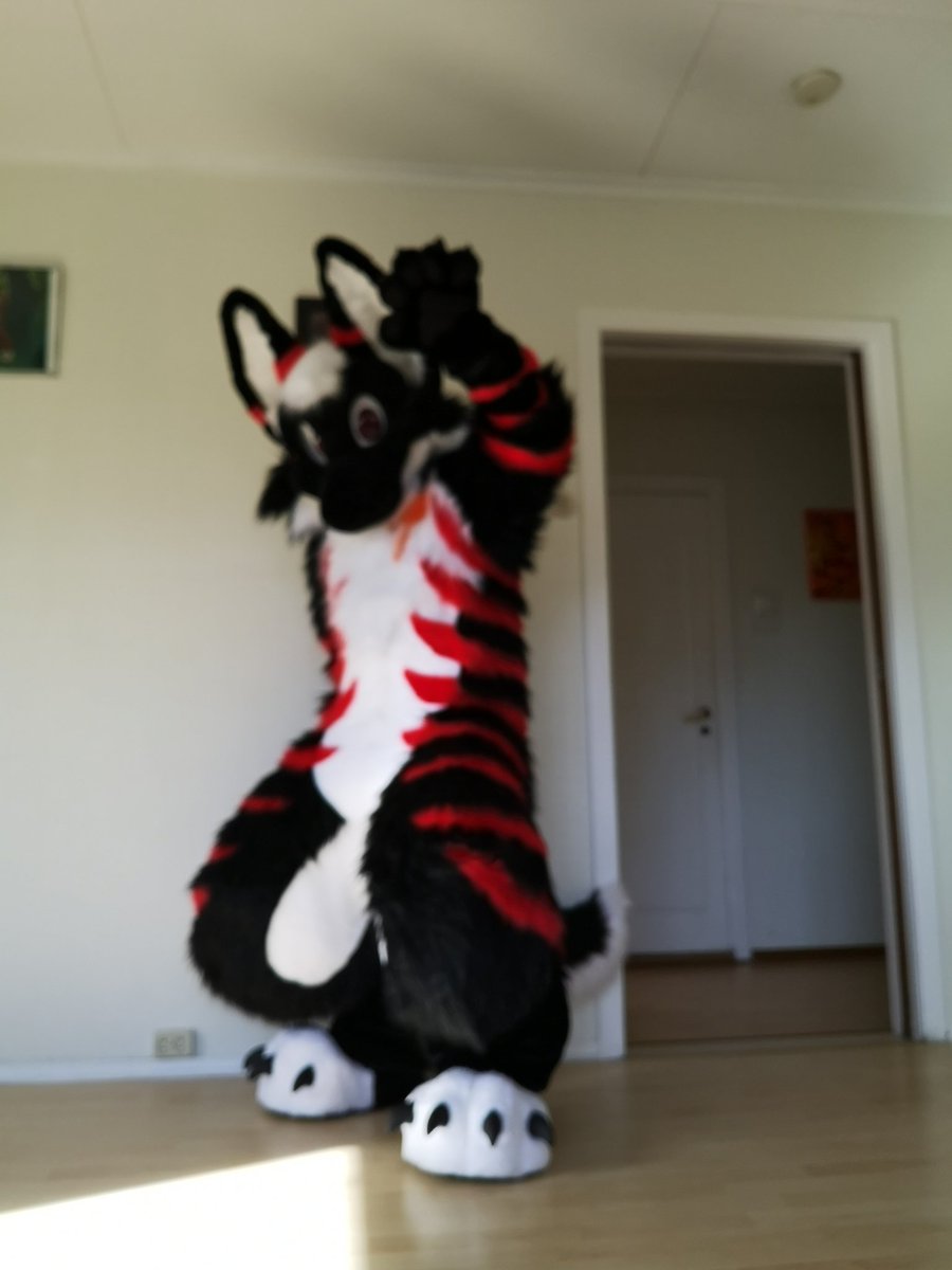 #Morefurless monday
Sorry fir the low qualety. Its my 1st time trying to oparate my phone in suit. Kinda hard to take pictures when i dont have a selfie stick or a big mirror. And live alone. But hey that wount stop me :3
