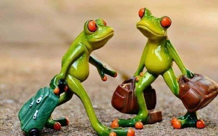 SyedaSaba12's tweet photo. @CHAIandBiryani @salehabadat13 @zuk60 @mohsinmalvi19 @suraiyahuss @Gladiat37255722 @ilyashussain67 @saranoo14119598 @neelofer23 @Dreamer4927 @AsifMajed @bashirahmed1342 @Talha2K19 @GandapurPAT @multan__ @fawadchaudhry @babyft67 @Nimrabu55782621 @dreamer8747 @KhurrumZamanPTI @amjadSheikh50 Yes, its not a surpriźE as a nation...we are used to of It now
#ChineseFood is Love💚🐉
But as a Muslim ; #MoralBankcruptcy at its peak 😔😪
#FrogFries https://t.co/0pKlWrMj00