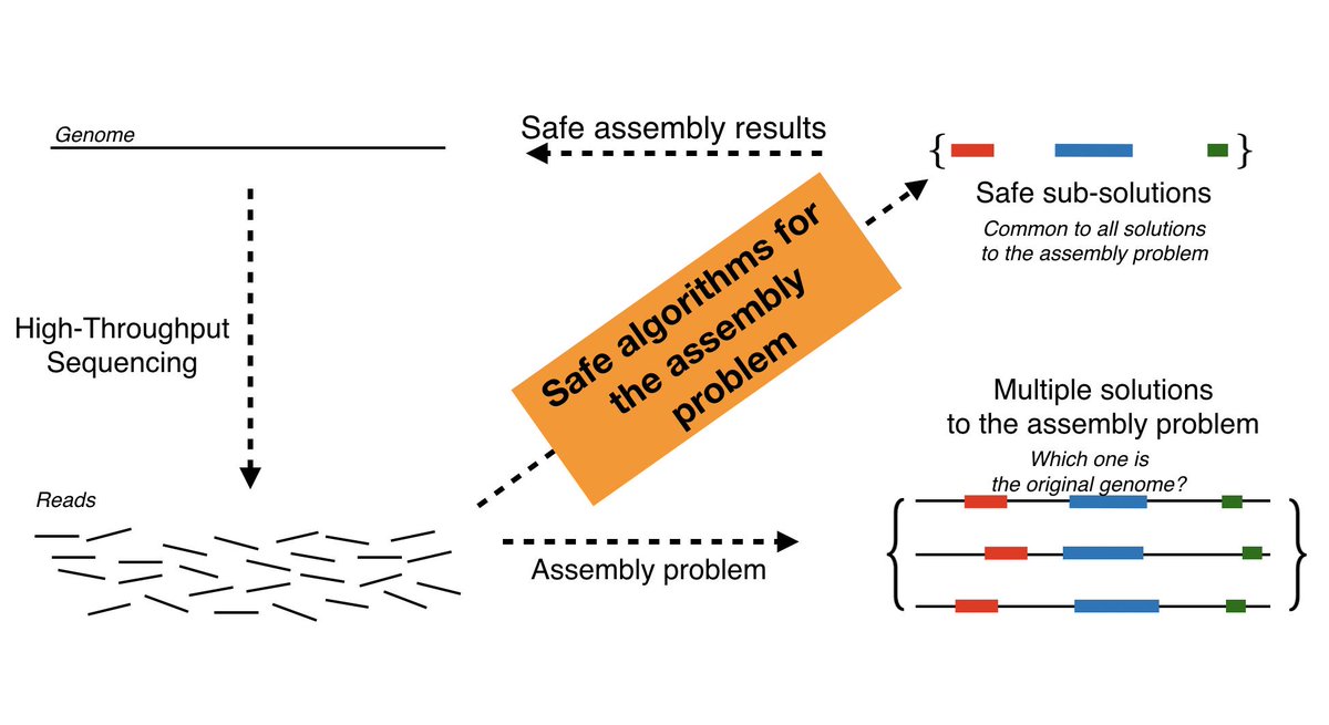 1 PhD &amp; 2 Postdoc positions available in #Algorithms #Bioinformatics at <a href="/helsinkiuni/">University of Helsinki</a>, part of my new research group, funded by <a href="/ERC_Research/">European Research Council (ERC)</a> (Safe and Complete Algorithms for Bioinformatics). Graph and string algorithms for assembly and pan-genomes. Apply: bit.ly/2kXAS1i