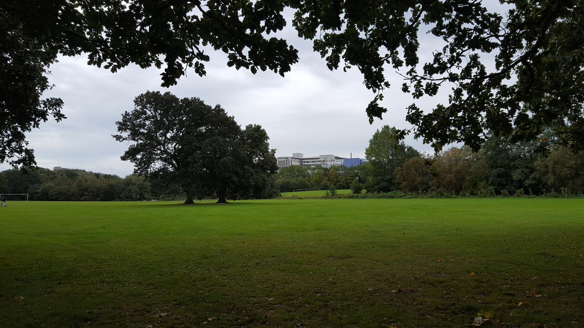 Flaxandrelax's tweet photo. Good meeting with @abisimonharris in Woodlands House this morning and a few more step step steps for #cavsteptember before the rain comes https://t.co/D8SKiY4BeY