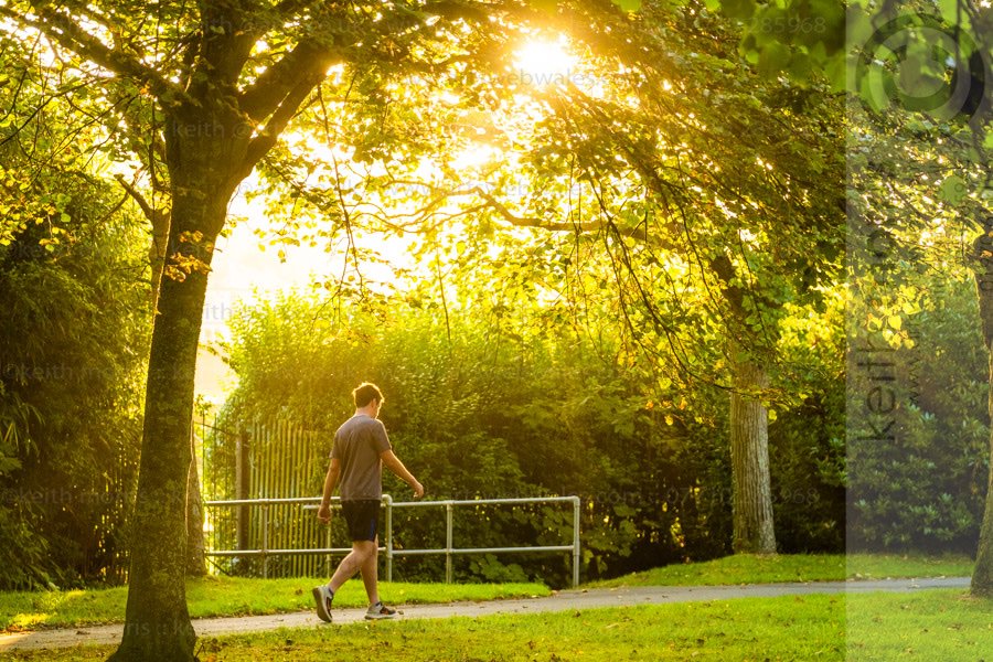 keith morris (@keithmorrisaber) on Twitter photo Walking in the park in #aberystwyth on #Equinox morning..#FirstDayofAutumn #weatherphoto © <a href="/KeithMorrisAber/">keith morris</a> for <a href="/AlamyNews/">Alamy News</a> #winteriscoming #nightsgettinglonger #soonbechristmas #AutumnEquinox #Autumn Walking in the park in #aberystwyth on #Equinox morning..#FirstDayofAutumn #weatherphoto © <a href="/KeithMorrisAber/">keith morris</a> for <a href="/AlamyNews/">Alamy News</a> #winteriscoming #nightsgettinglonger #soonbechristmas #AutumnEquinox #Autumn