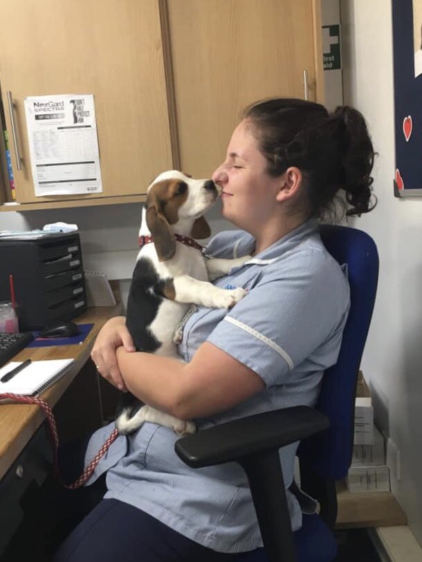 Medivet_UK's tweet photo. #WeekOfHappinessAtWork๐๐๐
Happiness is key! Being happy at work is as important as being happy at home. โ
๐ธ#MedivetLongSutton #MyMedivet https://t.co/kSeIPYPe17