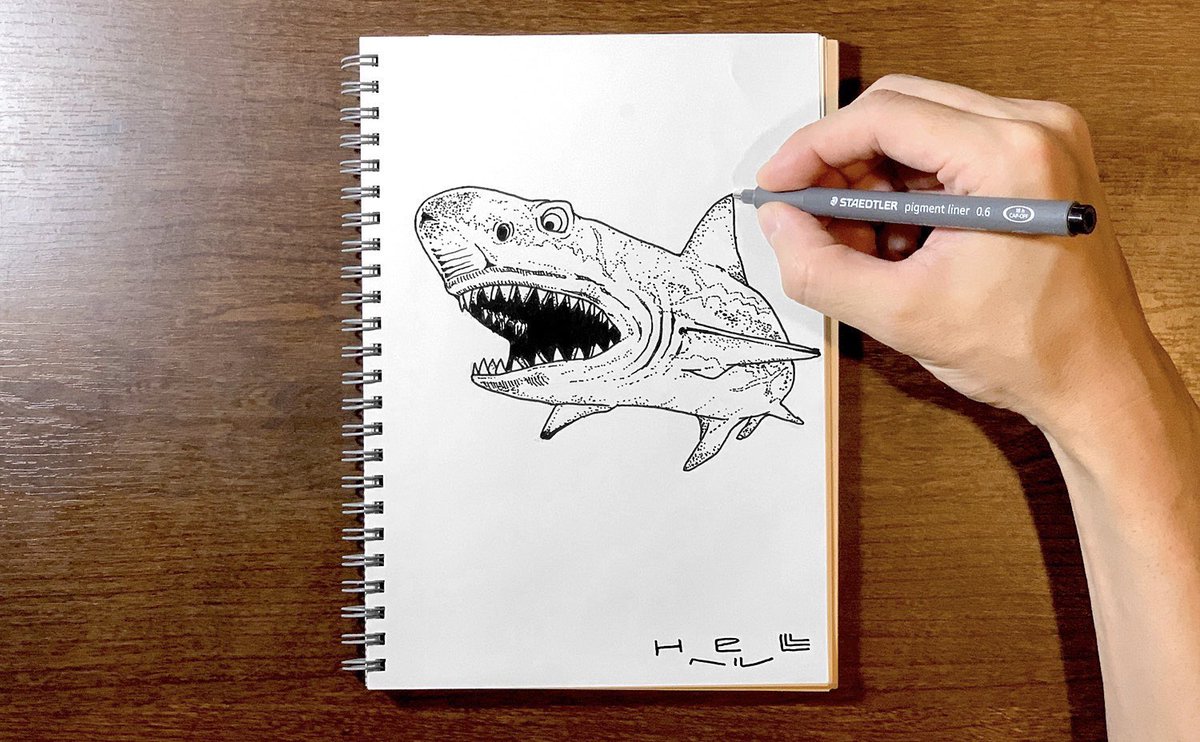 Helll ヘル サメお気に入りですか 嬉しい ボク的にもサメさんカッコいいのでオススメデス