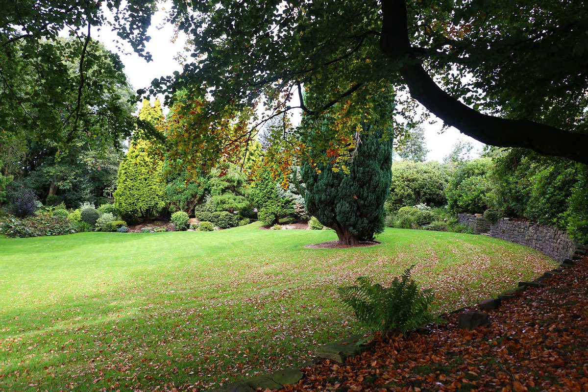 edgehill's tweet photo. Summer has packed up its bags now until next year and orange leaves are starting to appear across campus! 

Happy first day of Autumn! 🍂 #AutumnEquinox https://t.co/VYiIANXWjM