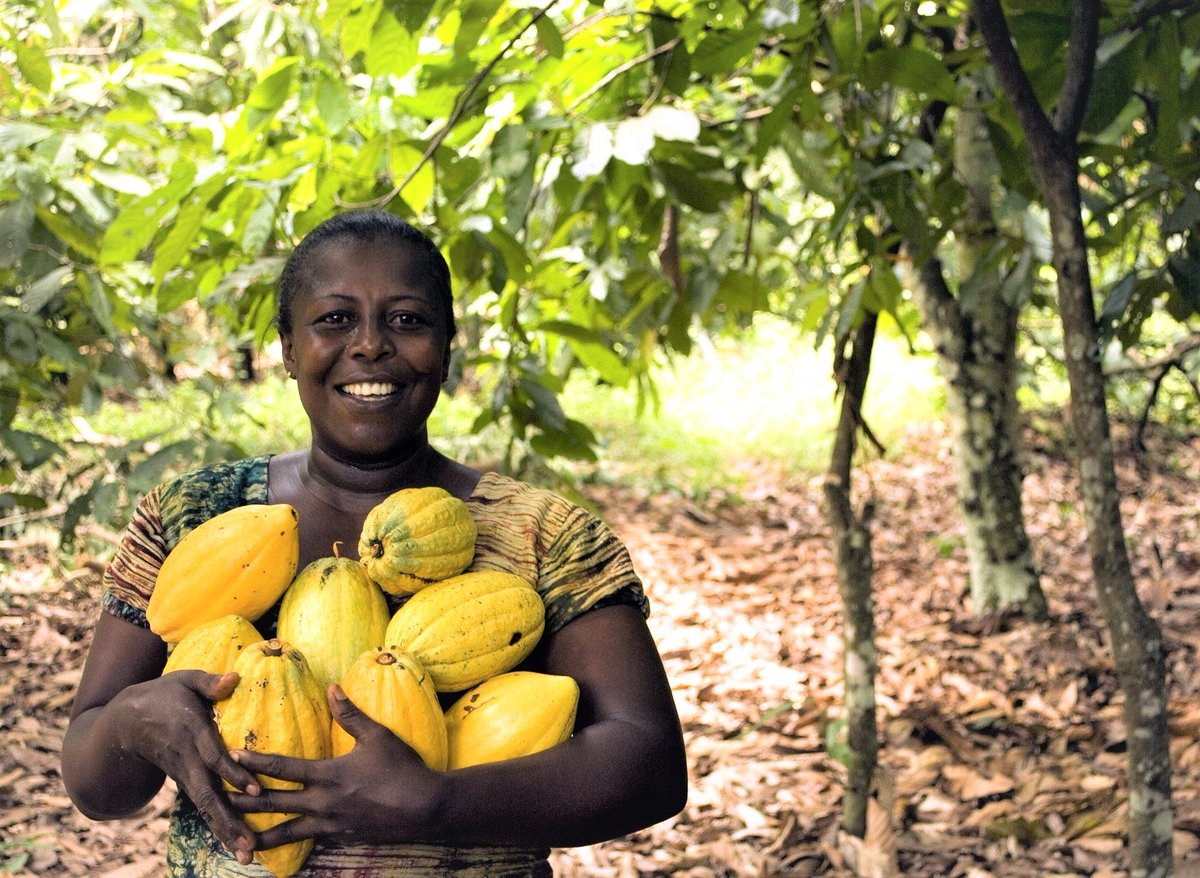 CABI has received a funding boost from the UK Department for International Development (DFID) @DFIDAgResearch @duncanjbarker which will help it increase its efforts to help ensure #globalfoodsecurity by stepping up the fight against #croppestsanddiseases cabi.news/2mx1E1f