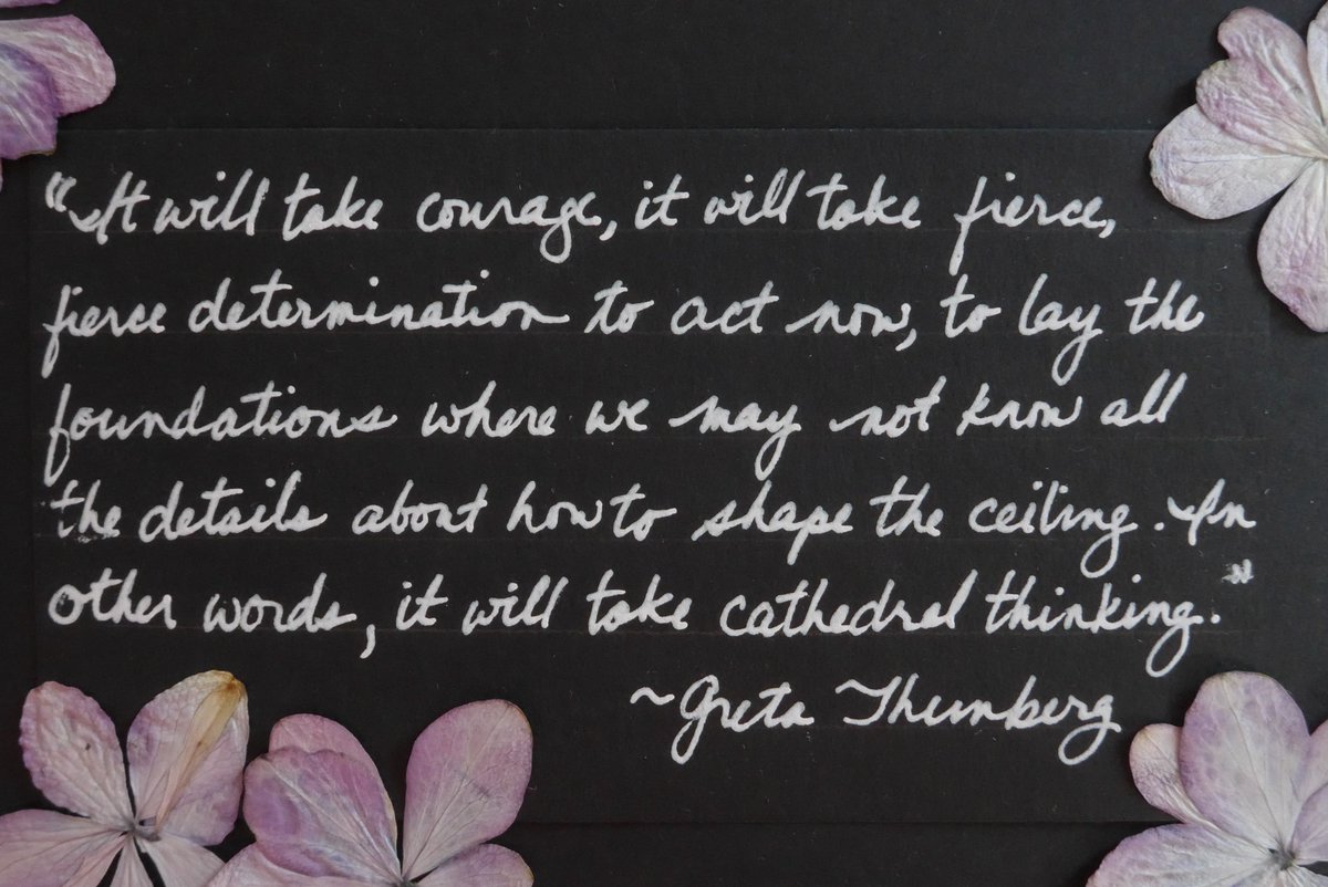 MarciMsings's tweet image. #thewildsong #MusicforClimate #cathedralthinking #ClimateEmergency #ClimateSummit #UNGA #ClimateAction #NatureNow