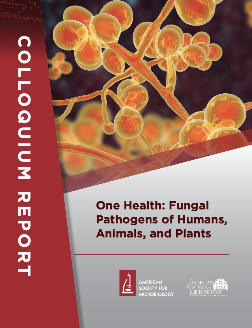 Fungal pathogenesis is a One Health issue that requires multi-pronged solutions. A new Academy report makes recommendations to prepare the next generation of fungal researchers & improve the health of all ecosystems ow.ly/aPxh50wgp2q #ThinkFungus #FungalDiseaseAwarenessWeek