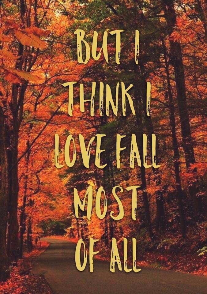 MrsDawnMarkus's tweet photo. Happy Fall Y’all 🍁🍂 https://t.co/xfNzzb9Xqh