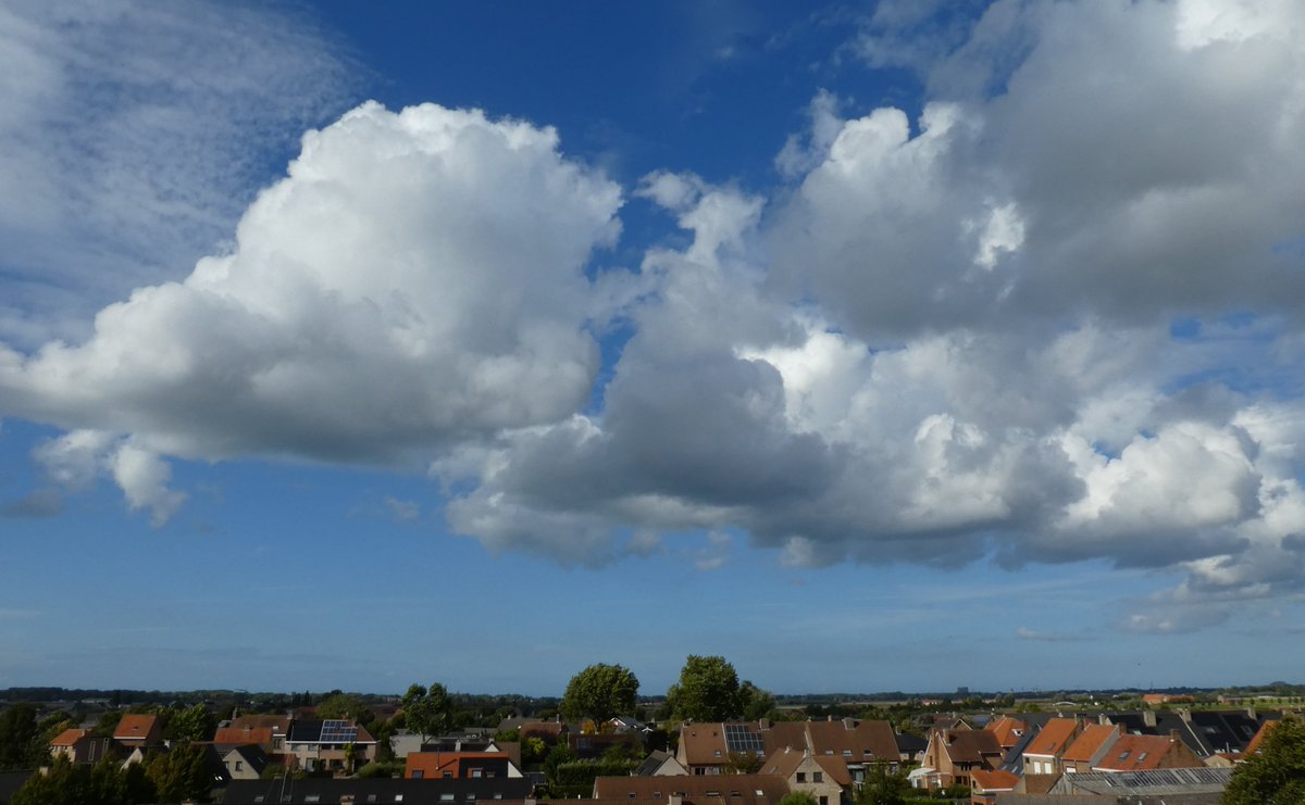 nadia casier tweet media