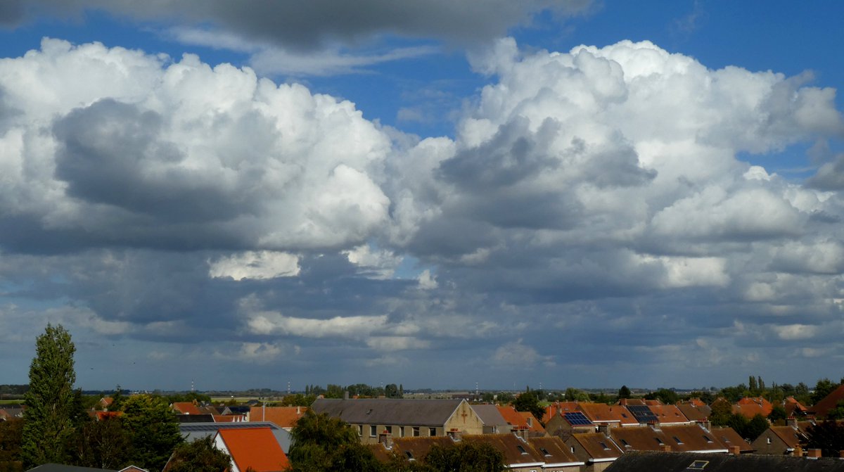 nadia casier tweet media