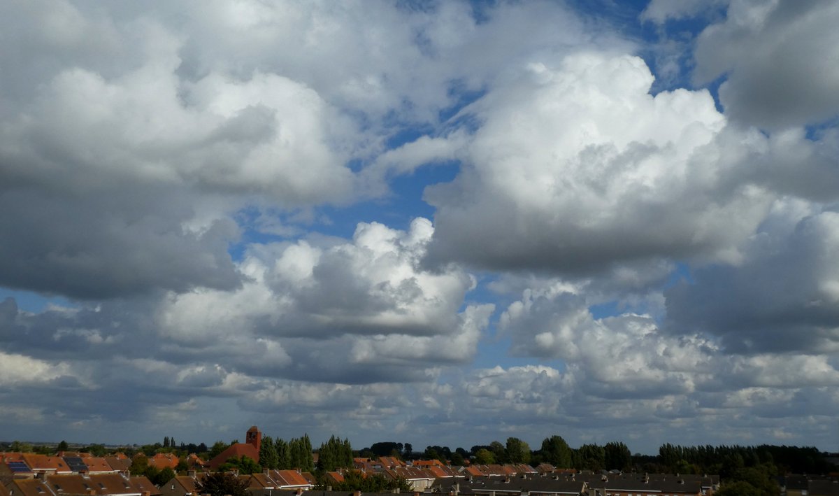 nadia casier tweet media