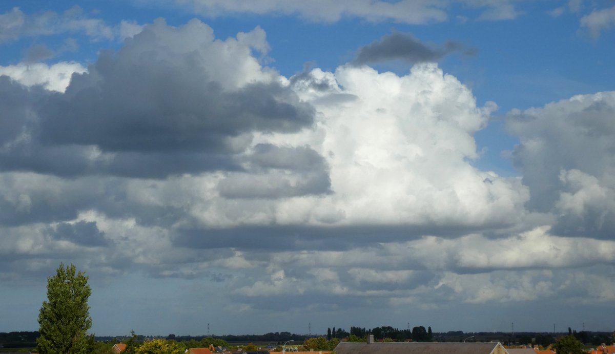 nadia casier tweet media