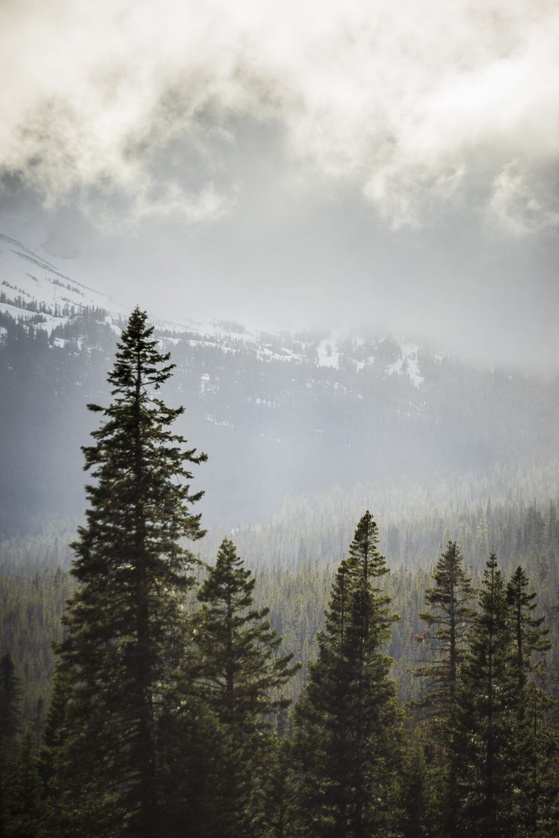 "...The #fantasy of #nature is much larger than my own fantasy. I still have things to learn." - Gunter Grass
.
.
.
#quotesoftheday #pacnorthwest #oregonbeauty #naturephotography