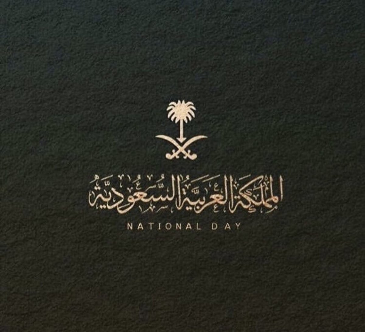 AlanoudHW's tweet photo. كل عام ووطني يعانق السماء مجدً ويحضن السحاب فخرً وعزً، دمت حبً وعشقً للأبد #همة_حتى_القمة https://t.co/3OhQM6A6sg