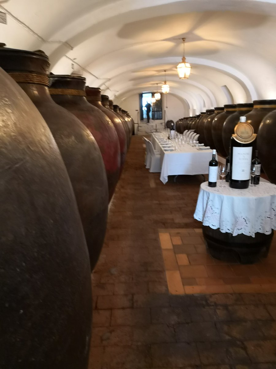 Only amphora aging @sovibor_ Borba Winery #winesofalentejo
