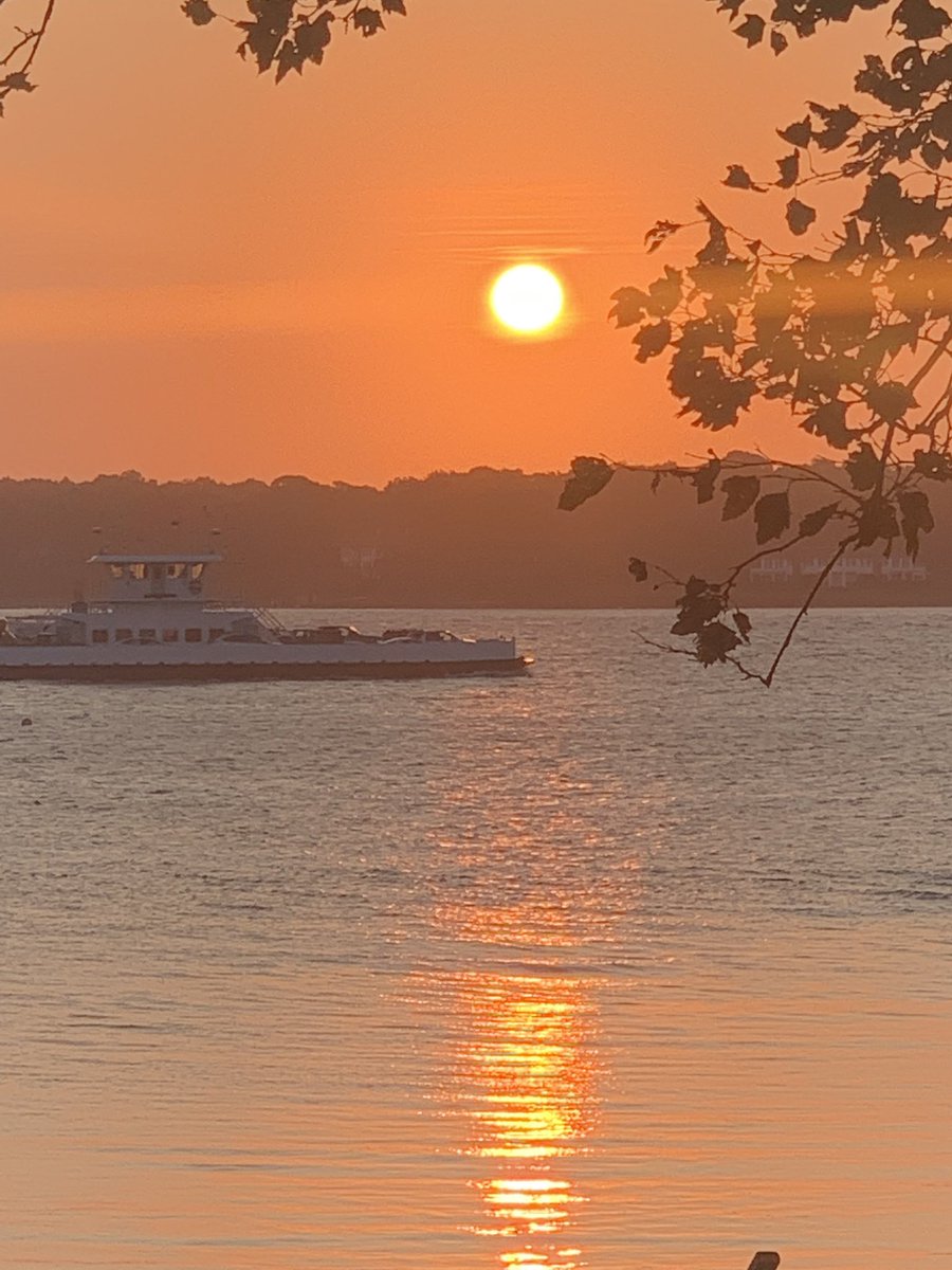 RealPeterHalpin's tweet photo. Good morning! 😎🙏🏻❤️ #nofilter #MakeItHalpin https://t.co/Zd48k11sl7