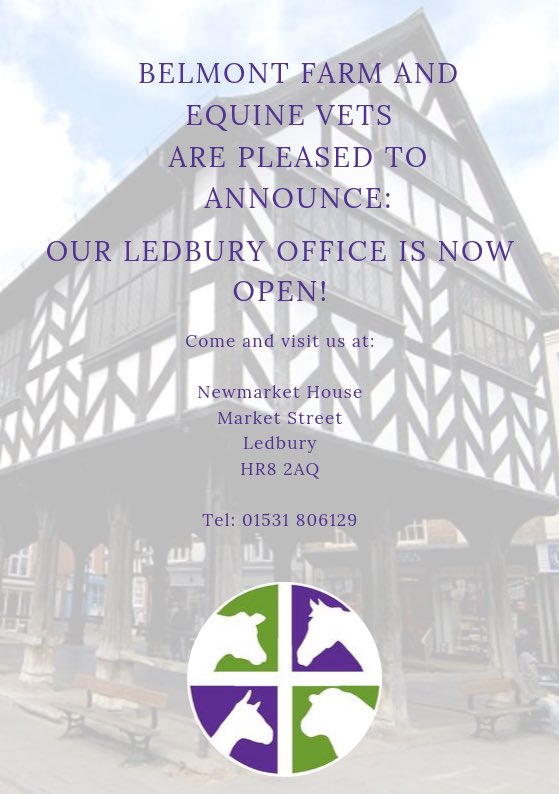 This morning we have opened our new branch in #Ledbury. We are 100% large animal vets, dedicated to providing a specialist service. Please pop by for a cuppa(or something more exciting later in the day!) to meet the team