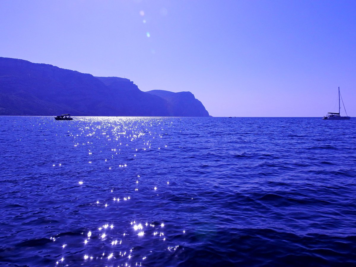 цвет черного моря