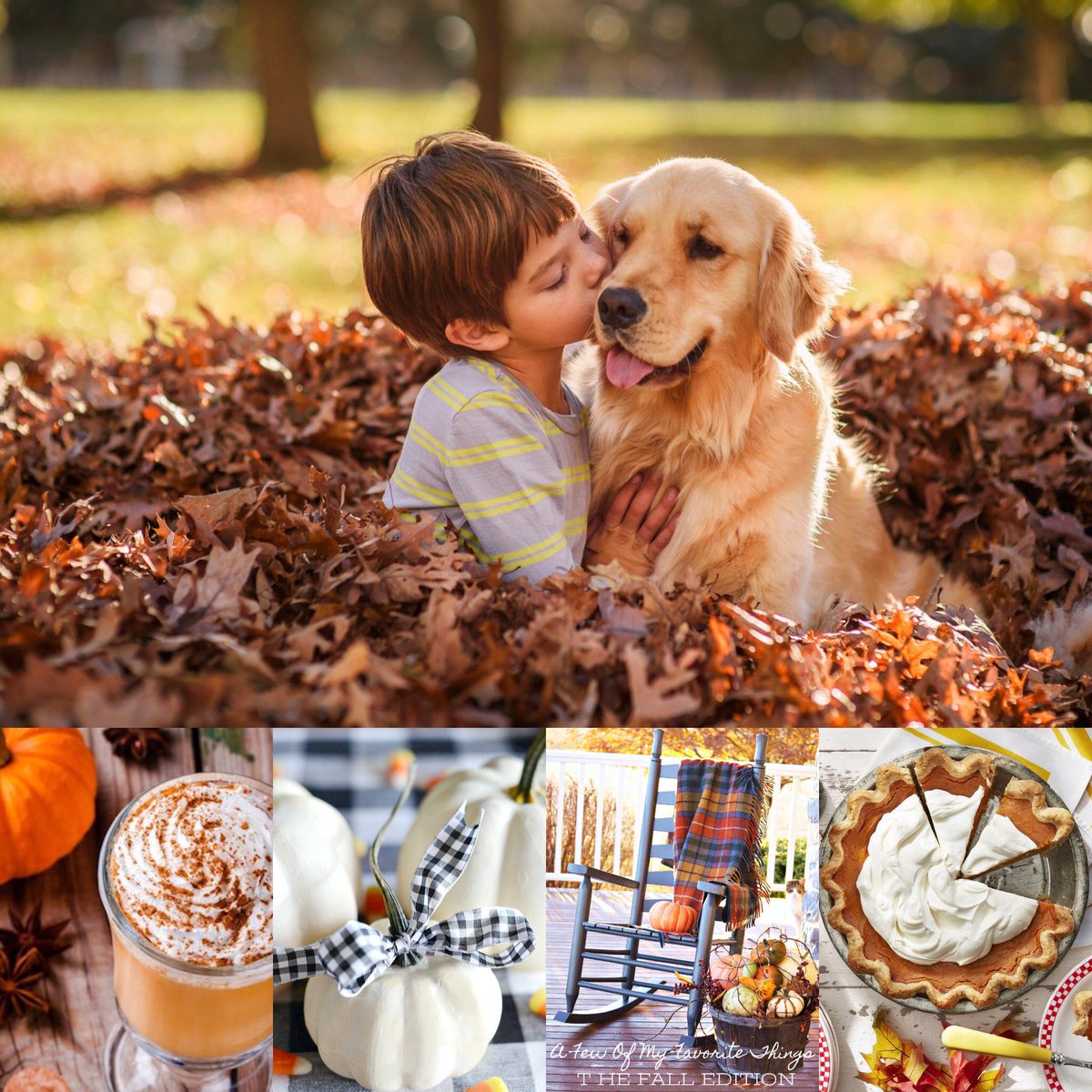 AlTorstrickInsu's tweet image. Today is the first day of autumn. Here are five of our favorite things about fall. Fashion, Foliage, Food, Football, and Festivities. Tell us what you love about Fall! 🍂🌿🍁🍃 #FirstDayOfAutum #UKFootball