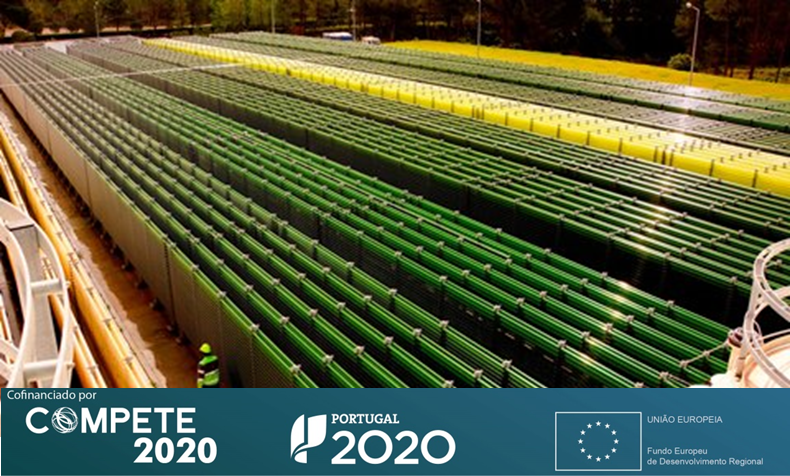 FEEICOMPETE2030's tweet photo. Cimeira Acção Climática decorre hoje e Fundos #UE têm contribuído pª desenvolver projeto c/ soluções pª preocupações ambientais. Por ex. #FermALG que visa reduzir o CO2. Saiba + sobre este proj da #Allmicroalgae @FEEICOMPETE2020 https://t.co/RTnkwn4qq9 #compete2020 #EuinmyRegion https://t.co/fIHJv4r5lg