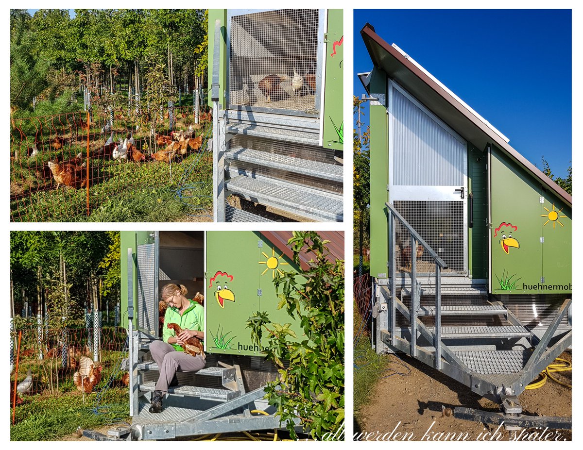 Regula_Blog's tweet image. Mobilität ist ein Thema, worüber viel gesprochen wird. Ohne Mobilität kein Reiseblog:-)
Mit viel Freude habe ich über mobile Hühner recherchiert. 
Mehr dazu: altwerden-spaeter.blog/2019/09/23/mob…