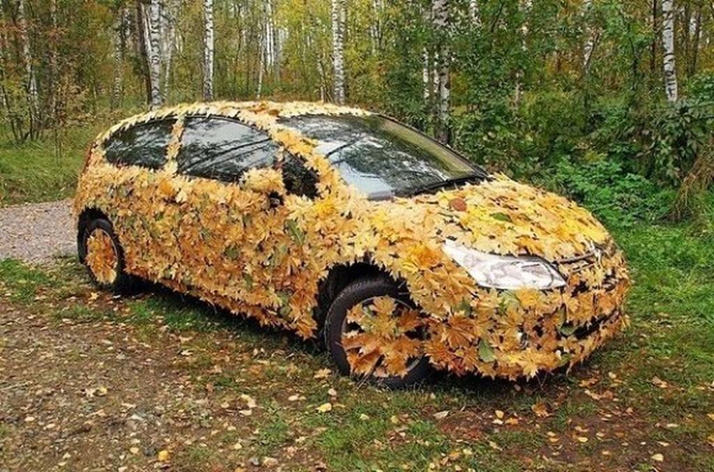 ➡️ Seulement 8% des Français choisissent l'automne comme saison préférée. 🍂 Et vous, quelle est votre saison favorite ? 😀

#Automne 🍁