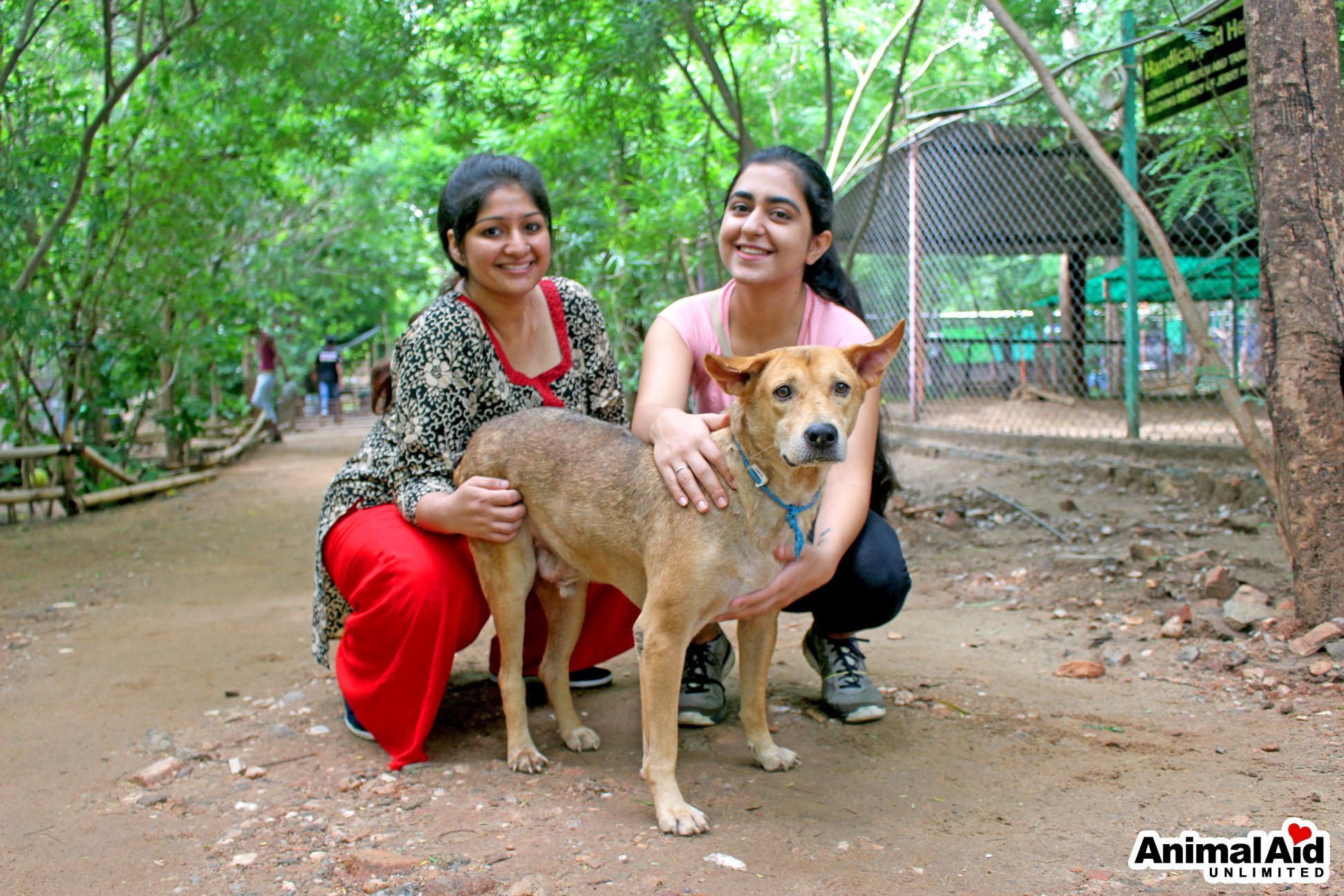 Animal Aid Unlimited on Twitter: Animal Aid Unlimited on Twitter: