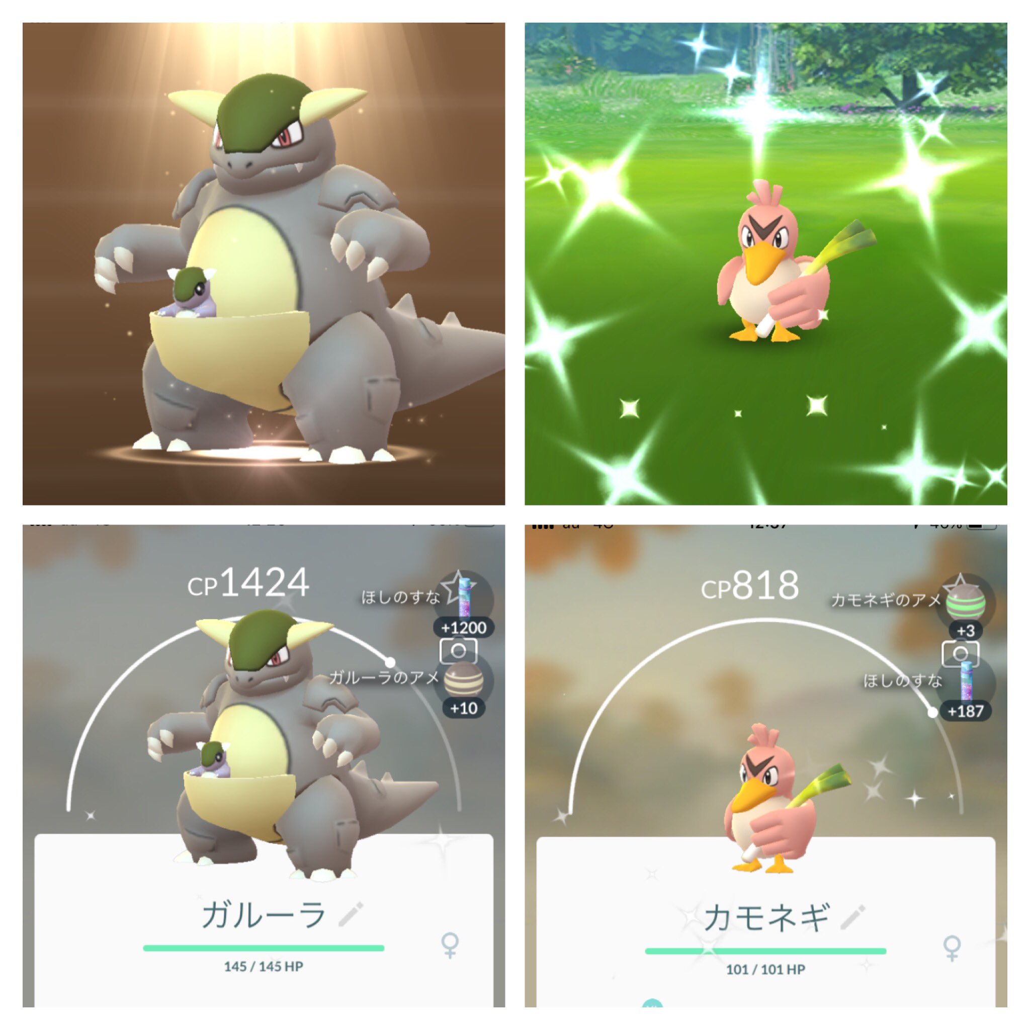 Shinyregionalpokemon Twitter Search Twitter