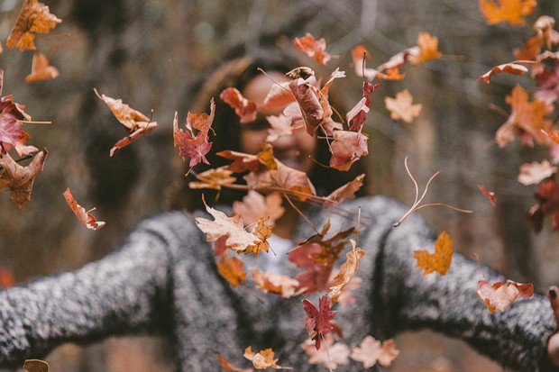 PrimaGlow's tweet photo. "Life starts all over again when it gets crisp in the fall." —F. Scott Fitzgerald

#PrimaGlow #Fall https://t.co/Er99YJ2dyL